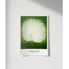Ohara Koson Tavuskuşu Poster