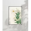 Ohara Koson Zambaklar Poster