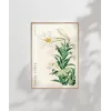 Ohara Koson Zambaklar Poster