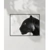 Panter Portresi Poster