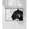 Panter Portresi Poster