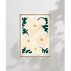 Pastel Beyaz Çiçekler Poster