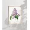 Pierre Joseph Redoure Lilac Poster