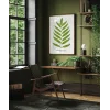 Polypodium Inaequale Poster