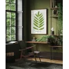 Polypodium Inaequale Poster