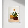 Saksıda Sansevieria Poster