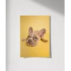 Sarı Zemin Üzerinde Sevimli Köpek Poster