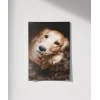 Sevimli Golden Köpek Poster