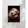 Sevimli Golden Köpek Poster