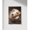 Sevimli Golden Köpek Poster
