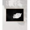 Swan Silueti Poster