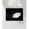 Swan Silueti Poster