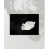 Swan Silueti Poster