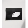 Swan Silueti Poster