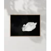 Swan Silueti Poster