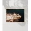 Swanlar Gölü Poster