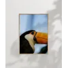 Tukan Kuşu Portresi