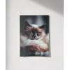 Uyuyan Kedi Poster