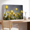 Uzanan Sarı Laleler Kanvas Tablo