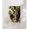 Üzüm Salkımı Duvar Poster