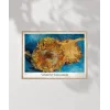 Van Gogh Ayçiçekleri 1 Poster