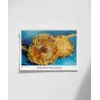 Van Gogh Ayçiçekleri 1 Poster