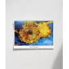 Vincent Van Gogh Ayçiçekleri Poster