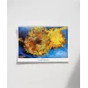 Vincent Van Gogh Ayçiçekleri Poster