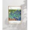 Vincent Van Gogh Süsen Çiçekleri Poster