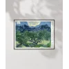 Vincent Van Gogh Zeytin Ağaçları (2) Poster