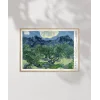 Vincent Van Gogh Zeytin Ağaçları (2) Poster