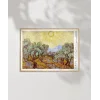 Vincent Van Gogh Zeytin Ağaçları Poster