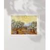 Vincent Van Gogh Zeytin Ağaçları Poster