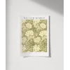 William Morris Kasımpatı Deseni Poster