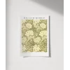 William Morris Kasımpatı Deseni Poster