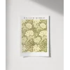 William Morris Kasımpatı Deseni Poster