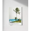 Winslow Homer Palmiye Ağacı, Nassau 2 Poster