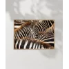 Zebra Deseni Poster