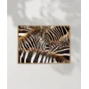 Zebra Deseni Poster