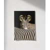 Zebra Yakın Plan Poster