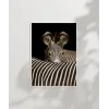Zebra Yakın Plan Poster