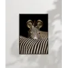 Zebra Yakın Plan Poster