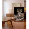 Zebra Yakın Plan Poster