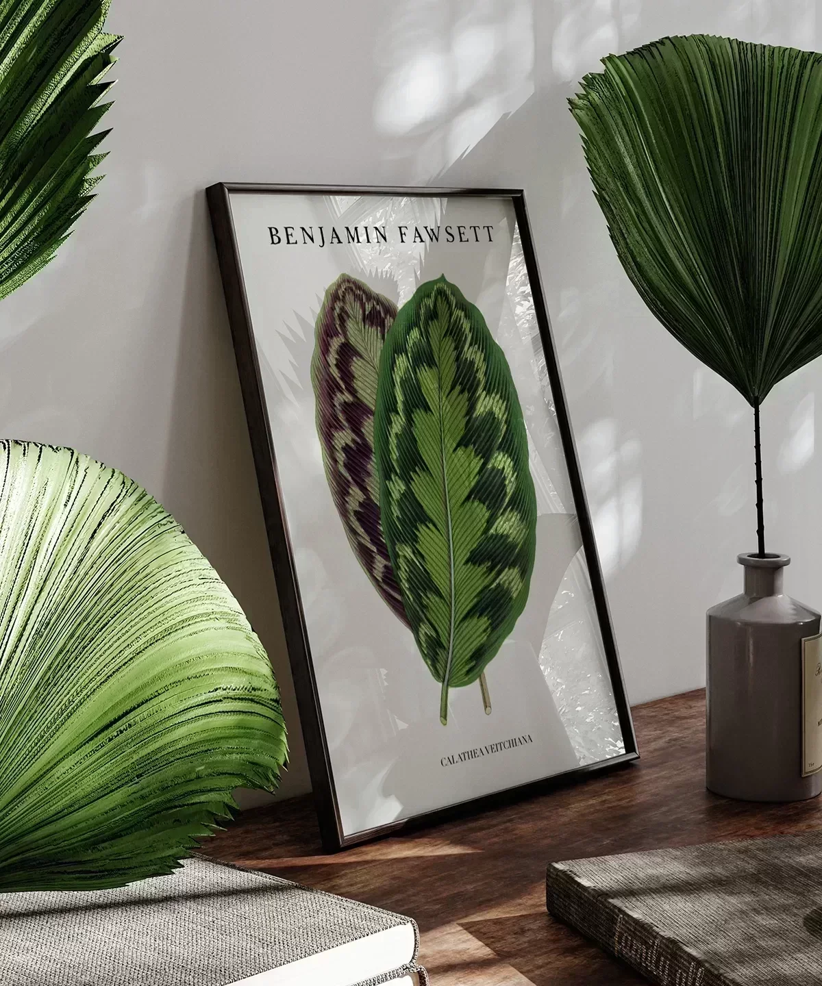 Benjamin Fawsett Calathea Veitchiana Poster