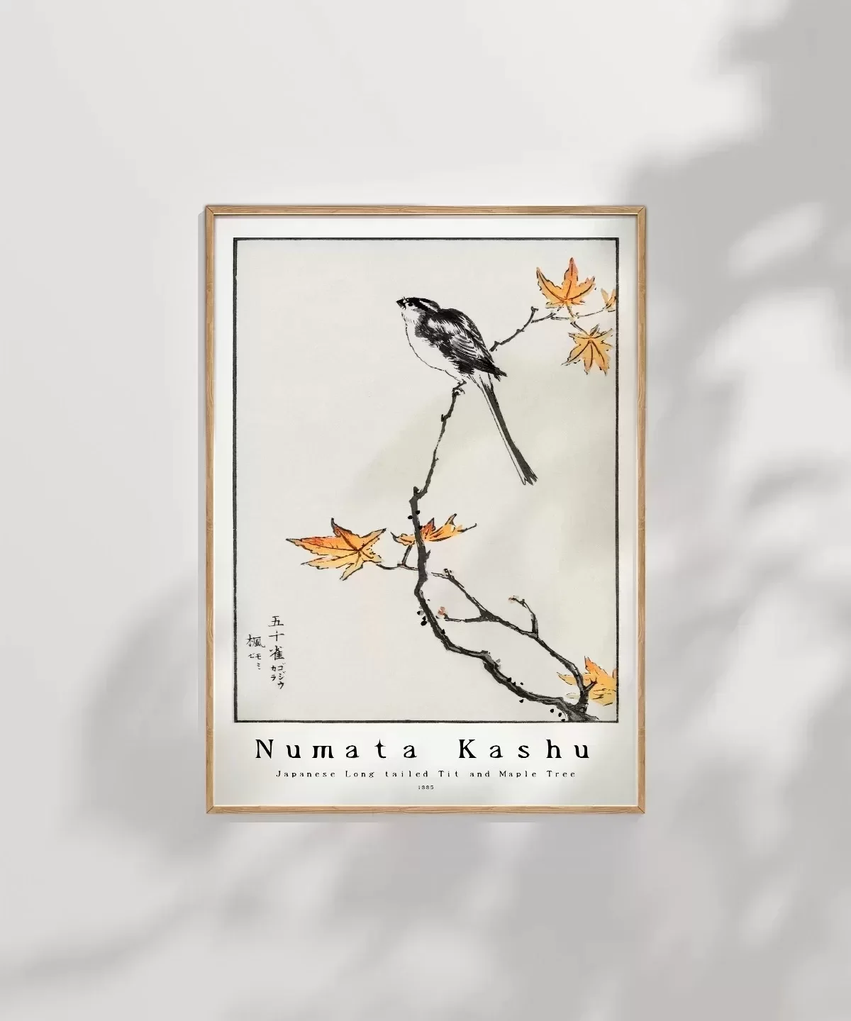 Numata Kashu Japon Uzun Kuyruklu Baştankara ve Akçaağaç Poster