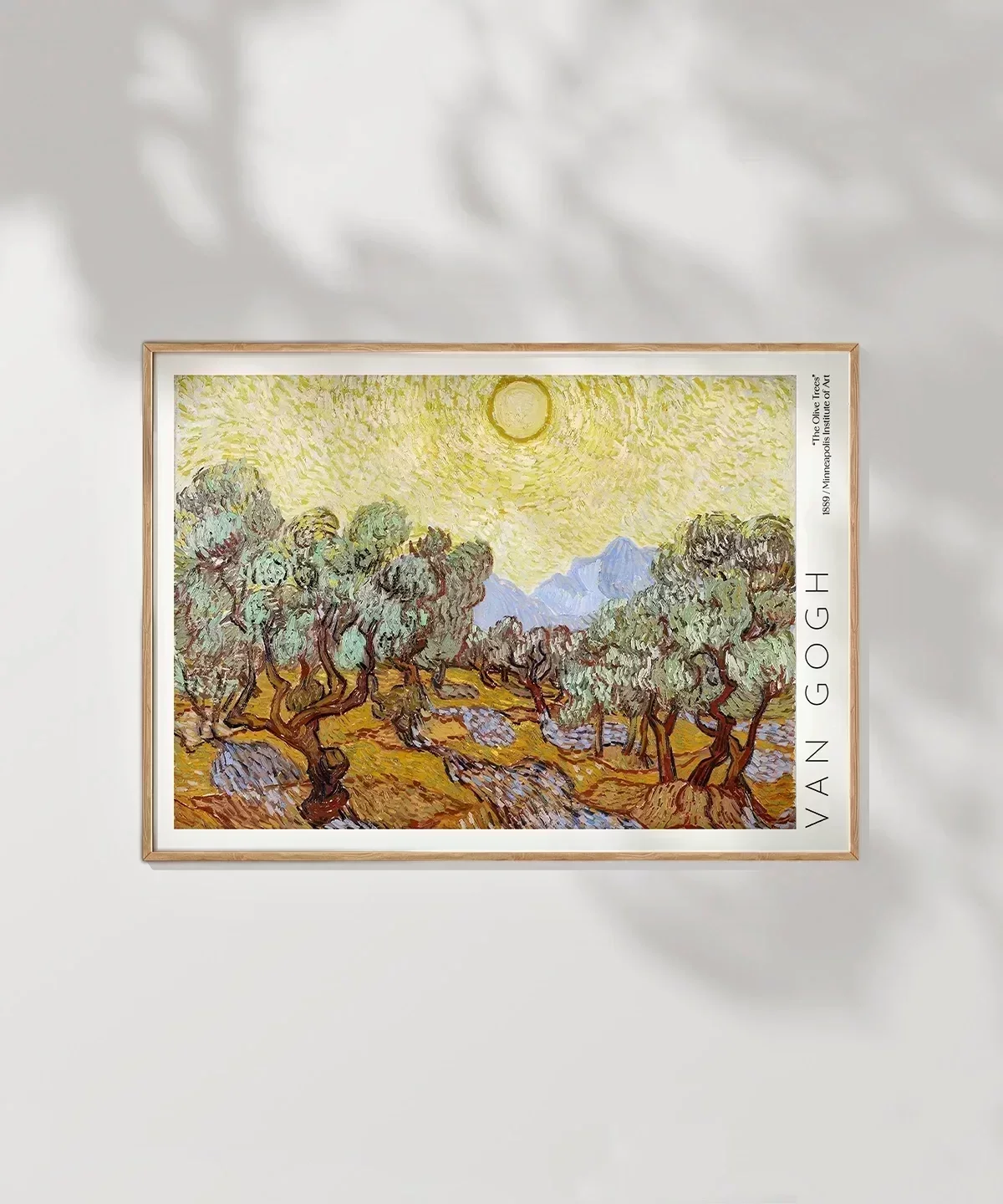 Vincent Van Gogh Zeytin Ağaçları Poster Fiyatı - Vogloo.com
