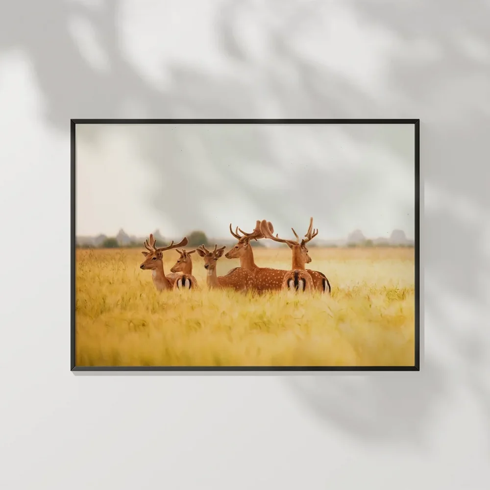 1. Bozkırda Geyik Sürüsü Poster