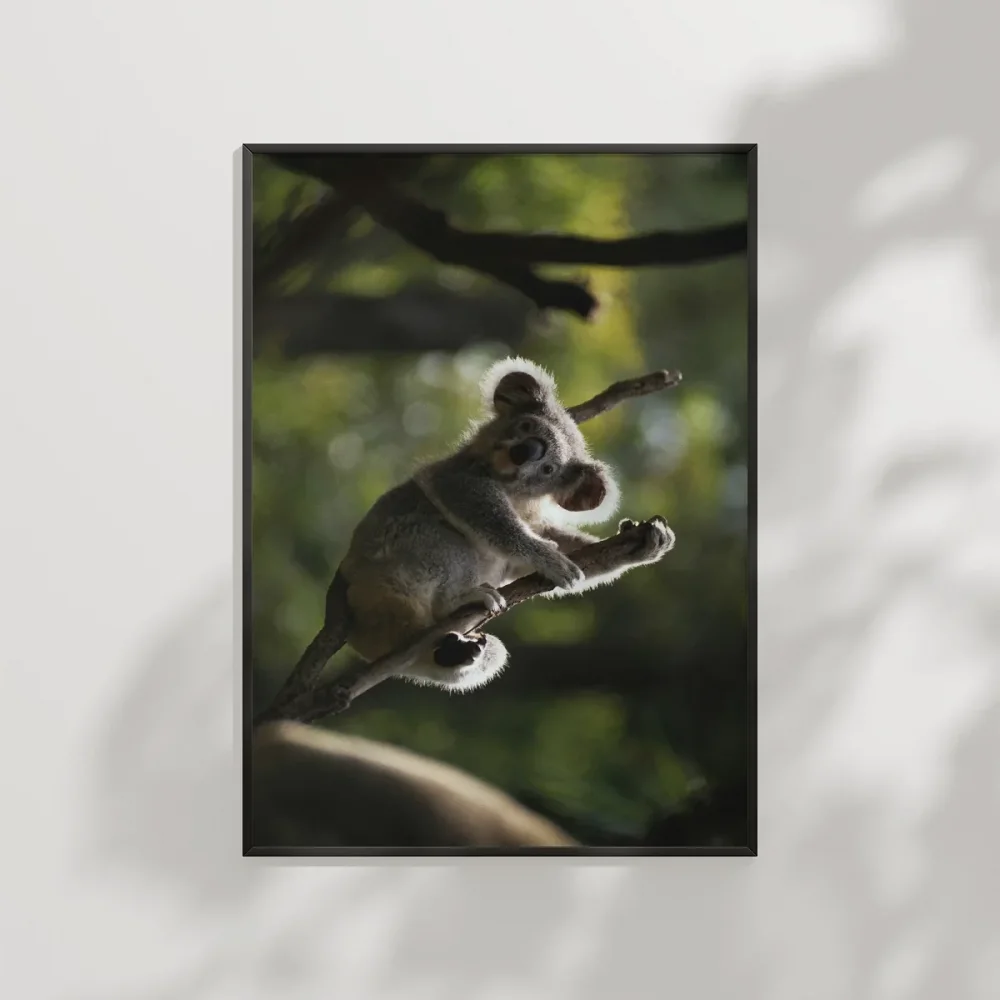 Ağaçta Tırmanan Koala Poster