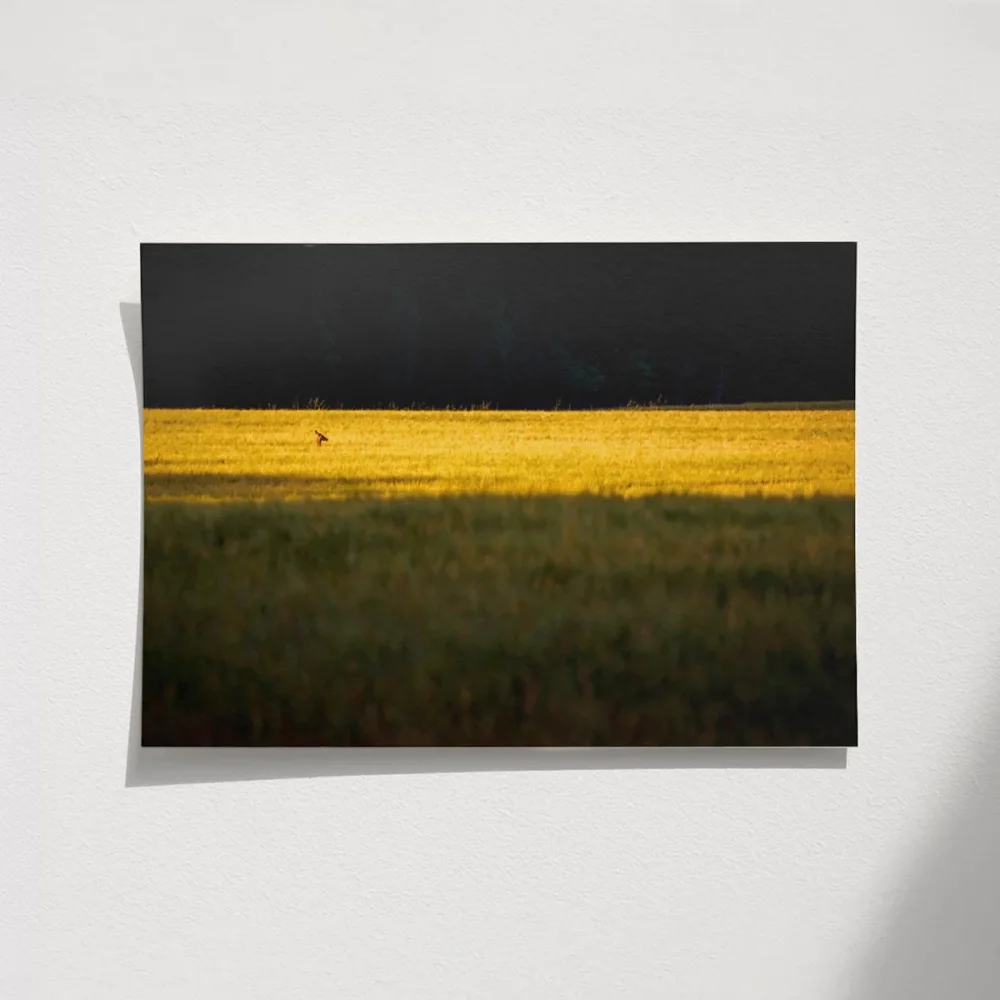 Altın Tarlada Kuş Poster