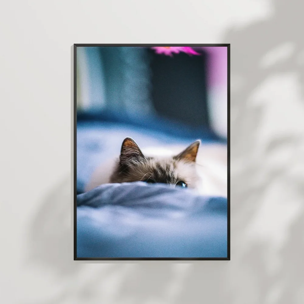 Battaniye Altındaki Kedi Poster